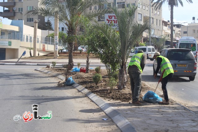 فيديو - كفر قاسم :  بعد النشر في قسماوي نت  البدء بالمراحل الاولى من البستنة والتشجير في جزر مدخل المدينة 